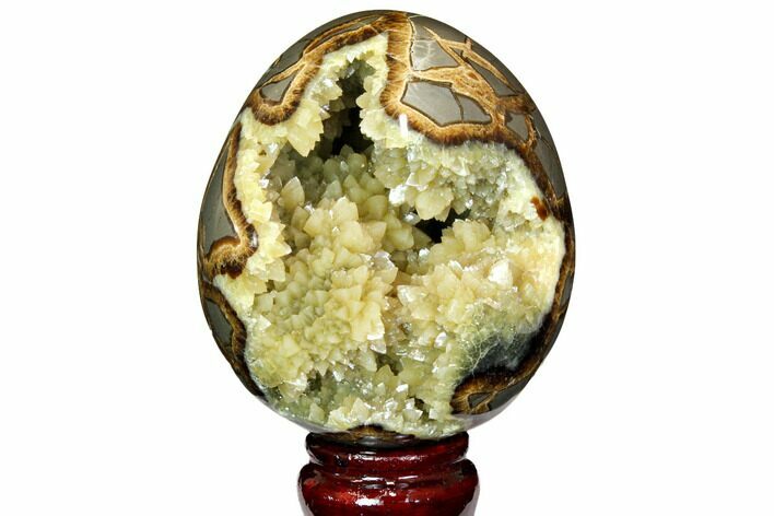 Calcite Crystal Filled Septarian Geode Egg - Utah #114324